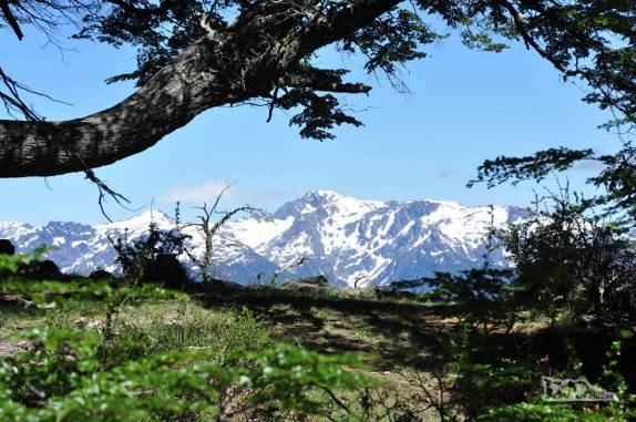 Saída de um bosque na trilha para o Cerro Piltriquitrón, em El Bolsón, na Argentina